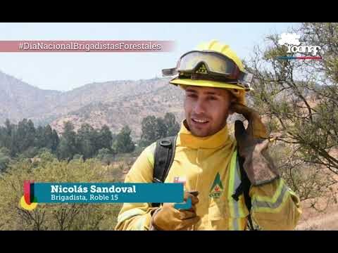 5 Herramientas clave para combatir incendios