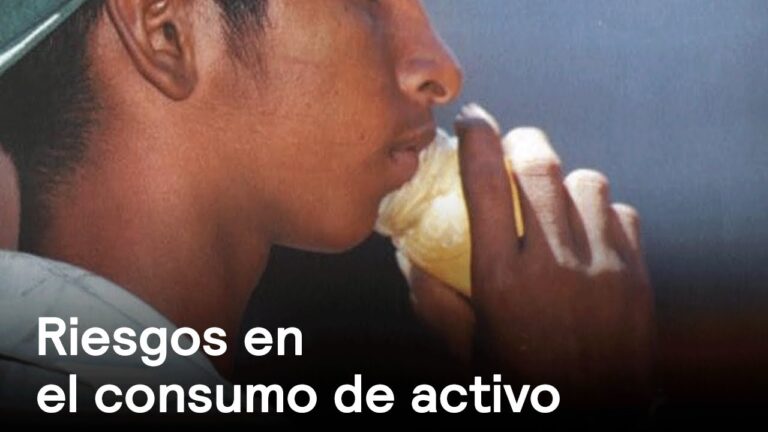 Prevenci&oacute;n de Da&ntilde;os en PVC: Consejos clave para mantenerlo en &oacute;ptimas condiciones