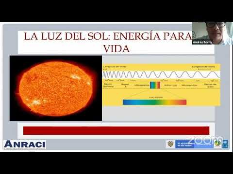 Importancia de la capa de protección pasiva